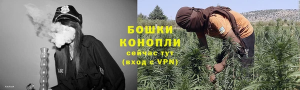 PSILOCYBIN Каменск-Шахтинский