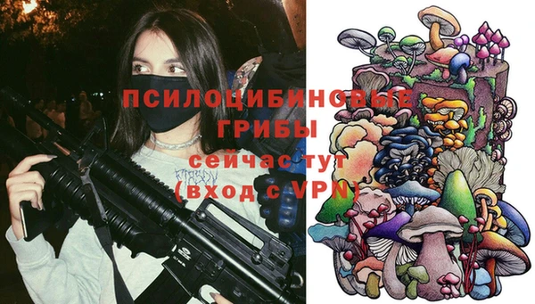 PSILOCYBIN Каменск-Шахтинский