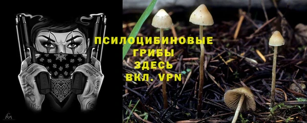 бутират Каменногорск