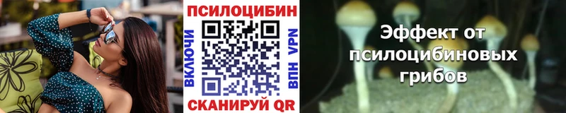 Купить закладки  Дубна  Галлюциногенные грибы ЛСД 